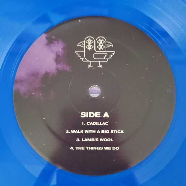 Foster The People - In The Darkest Of Nights, Let The Birds Sing (Used Vinyl)