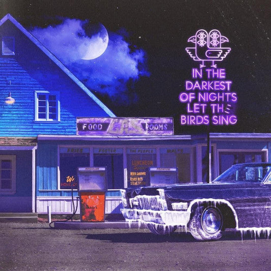 Foster The People - In The Darkest Of Nights, Let The Birds Sing (Used Vinyl)