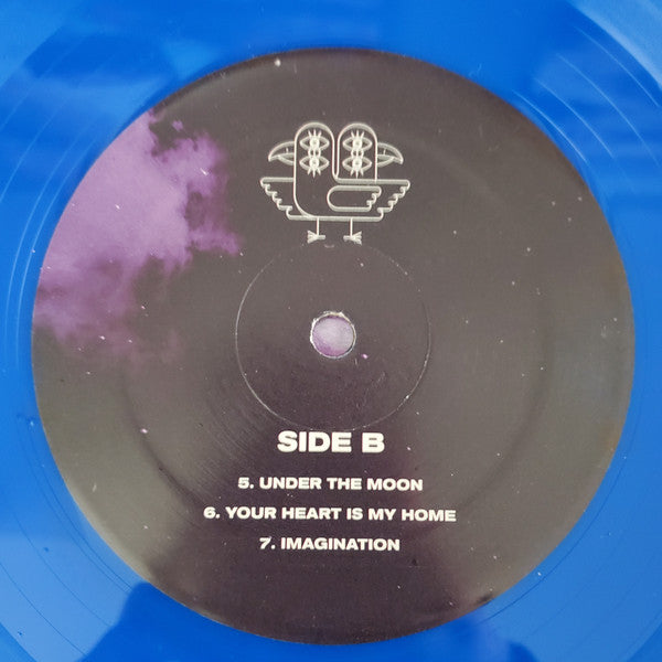 Foster The People - In The Darkest Of Nights, Let The Birds Sing (Used Vinyl)